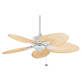 44" Windpointe 5 Blade Ceiling Fan