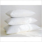 Pillow Polyfills