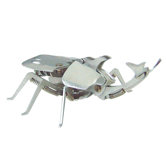 Rhino Beetle