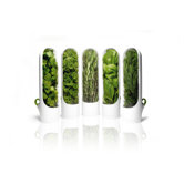 Mini Herb Savor Pickups (Set of 3)