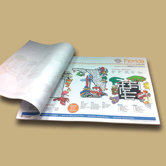 Florida State Fun Map Pad