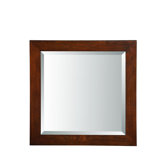 Essence 24" x 24" Mirror
