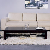 Recluse Coffee Table