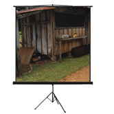 80" Tripod Screen in Matte White