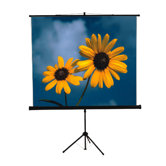 Portable Screens