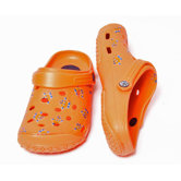 School Clog