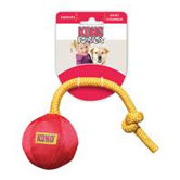 Ball Dog Toy