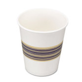 Paper Hot Cups, 1000/Carton