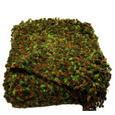 Betsy Woven Throw