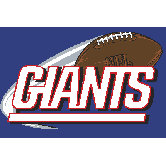 NFL Novelty Rug