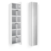 Linea Ciacole 6.5" x 10.4" Mirrored Cabinet with 5 Shelves