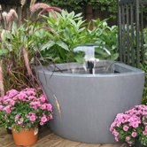 Algreen Pond Kits and Accessories