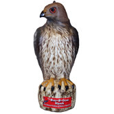 Bird B Gone Bird Control