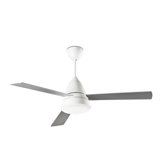 Bagur 2 Light Ceiling Fan