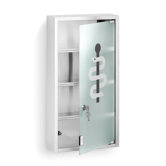 Nexio Medicine Cabinet, Matte