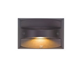 2 Light LED Step Light
