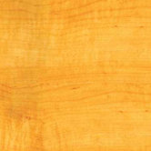 Forestwood 4" Vinyl Plank in Maple