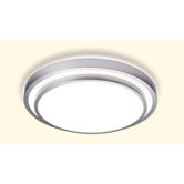 Flush Light in Grey