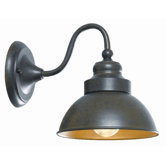 Dark Sky One Light Small Wall Sconce in Bronze