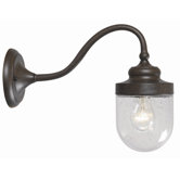 Dark Sky One Light Large Outdoor Wall Sconce in Bronze