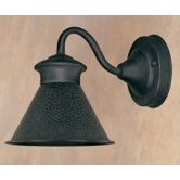 Dark Sky Essen  Wall Lantern in Rust