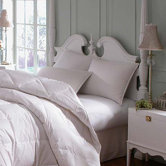 Astra Medium Innofil Pillow