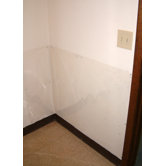 Wall Shield for Pets
