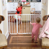 Auto-Lock Gate