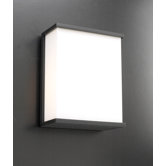 Pinero  Wall Sconce
