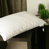 Double Silk-Filled Pillow