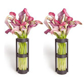 Glass Cylinder Vases (Set of 2)