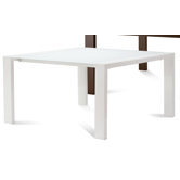 Fashion Dining Table