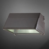 1 Light Wall Sconce