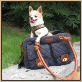 Jane Pet Carrier