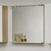 Diverse Mirror with Light Panel