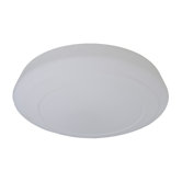 2 Light Flush Mount