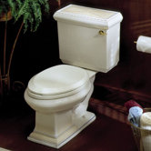 Close Reach Design on Memoirs Two-Piece Elongated Toilet