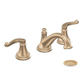 Savvy Widespread Bathroom Faucet with Double Handles