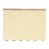 Data Indexes, With Insertable Tabs, 14-7/8"x11", Buff