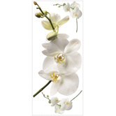 White Orchid Peel and Stick Wall Decal