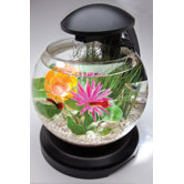 Tetra Aquariums & Bowls