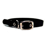 Single Thick Nylon Dog Collar in Black