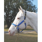 Adjustable Halter with Leather Headpole
