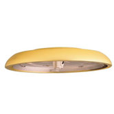 One Light Integrated Low Profile Ceiling Fan Fitter