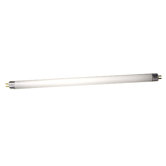 WAC Lighting Light Bulbs
