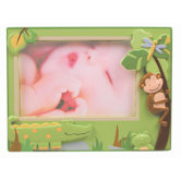 Papagayo Picture Frame