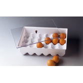 Egg Container