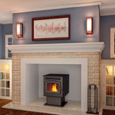 TPS35 Economizer&trade; Rear Vent Pellet Stove