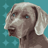 Pooch D&eacute;cor Weimaraner Portrait