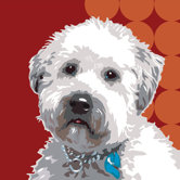 Pooch D&eacute;cor Wheaten Terrier Portrait